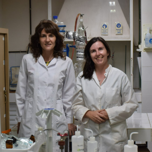 A un año de su creación, el Centro InProSus consolida su estructura y potencia sus líneas de investigación sustentable